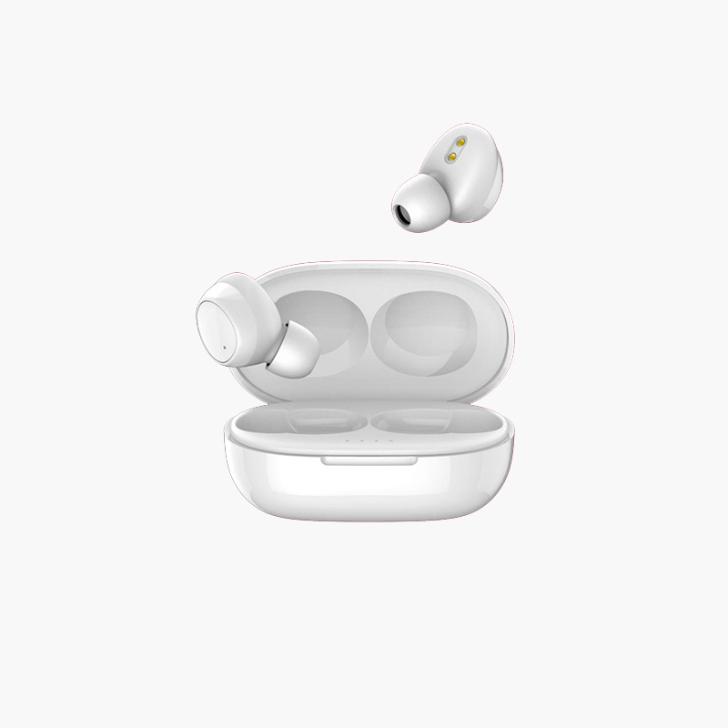 EARBUDS T1